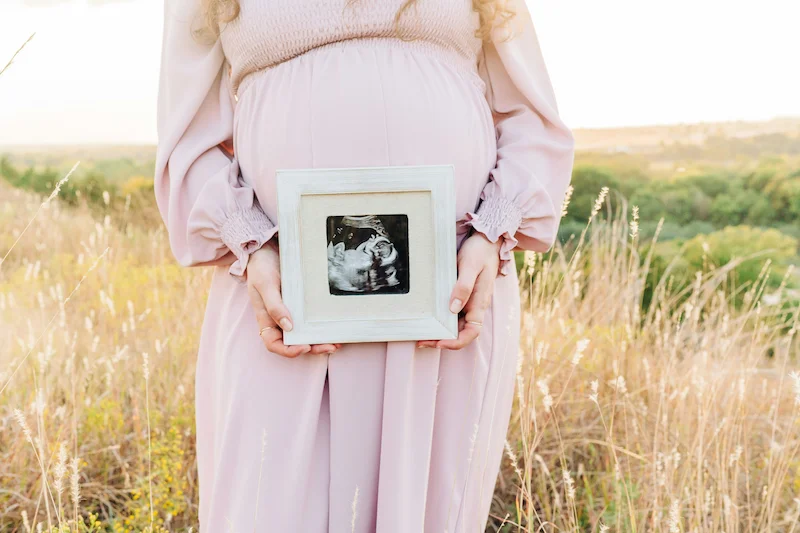 Fifth month of pregnancy illustration
